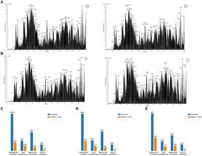 Identification of host proteins interacting with the E protein of porcine epidemic diarrhea virus